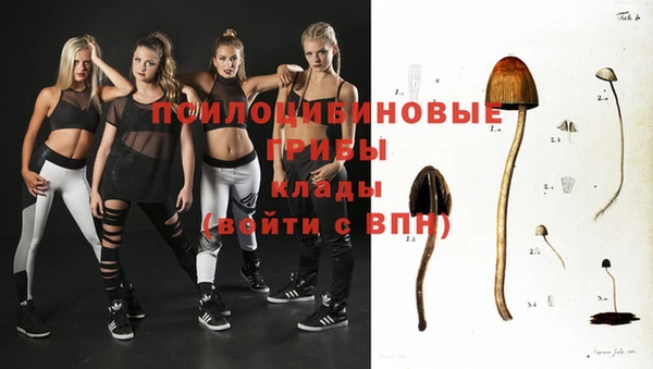 герыч Сосновый Бор