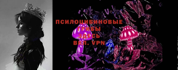 прущий лед Щучье