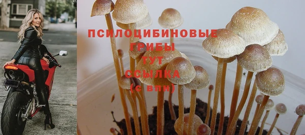 бутират Сосновка