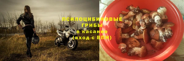 герыч Сосновый Бор