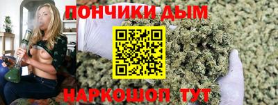 шишки Кинель
