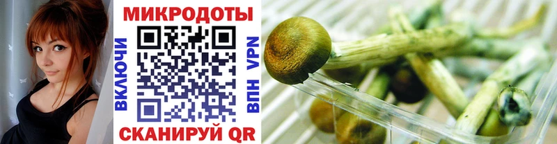 наркошоп  Заринск  Псилоцибиновые грибы Psilocybe 