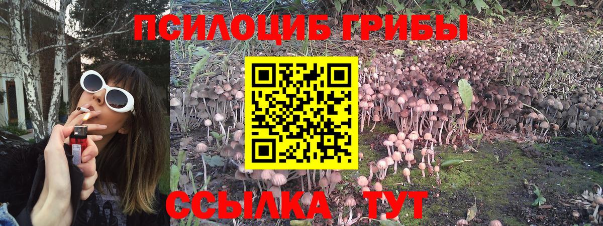 Псилоцибиновые грибы Magic Shrooms Заринск